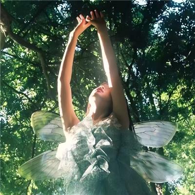 过度保护的少爷的溺爱婚姻